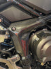Triumph Tiger 800  Ramen Verkleidung 100% Carbon 2025+.